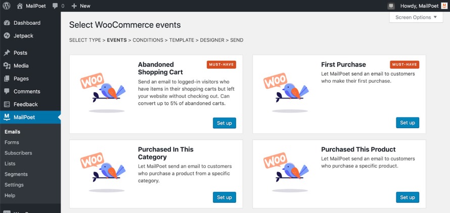 افزونه MailPoet